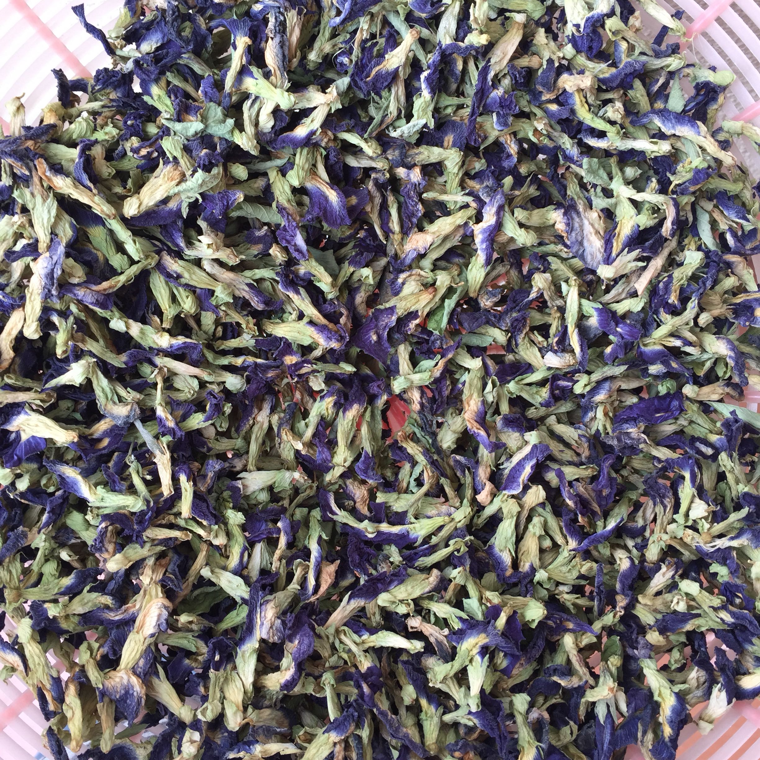 Dried Butterfly Pea Flower Bunga Telang Kering Home Furniture Gardening On Carousell