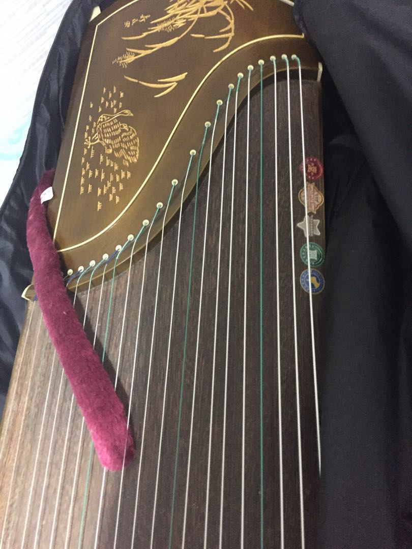 Gu Zheng/Kecapi Cina on Carousell