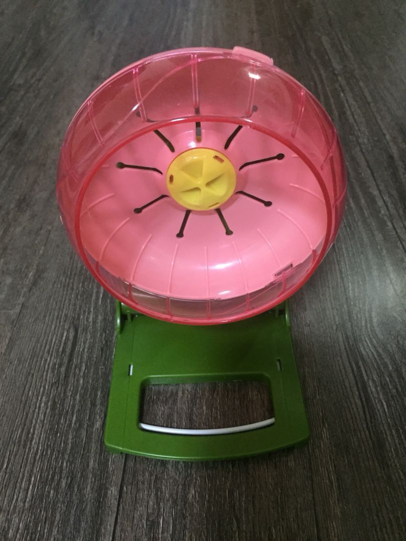 Hamster Wheel, Pet Supplies, Homes & Other Pet Accessories on Carousell