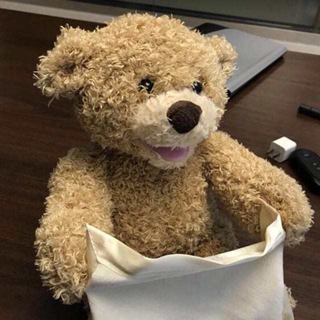 where can i buy peek a boo bear