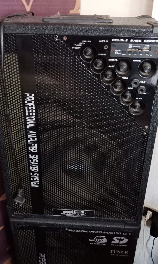 professional amplifier speaker system