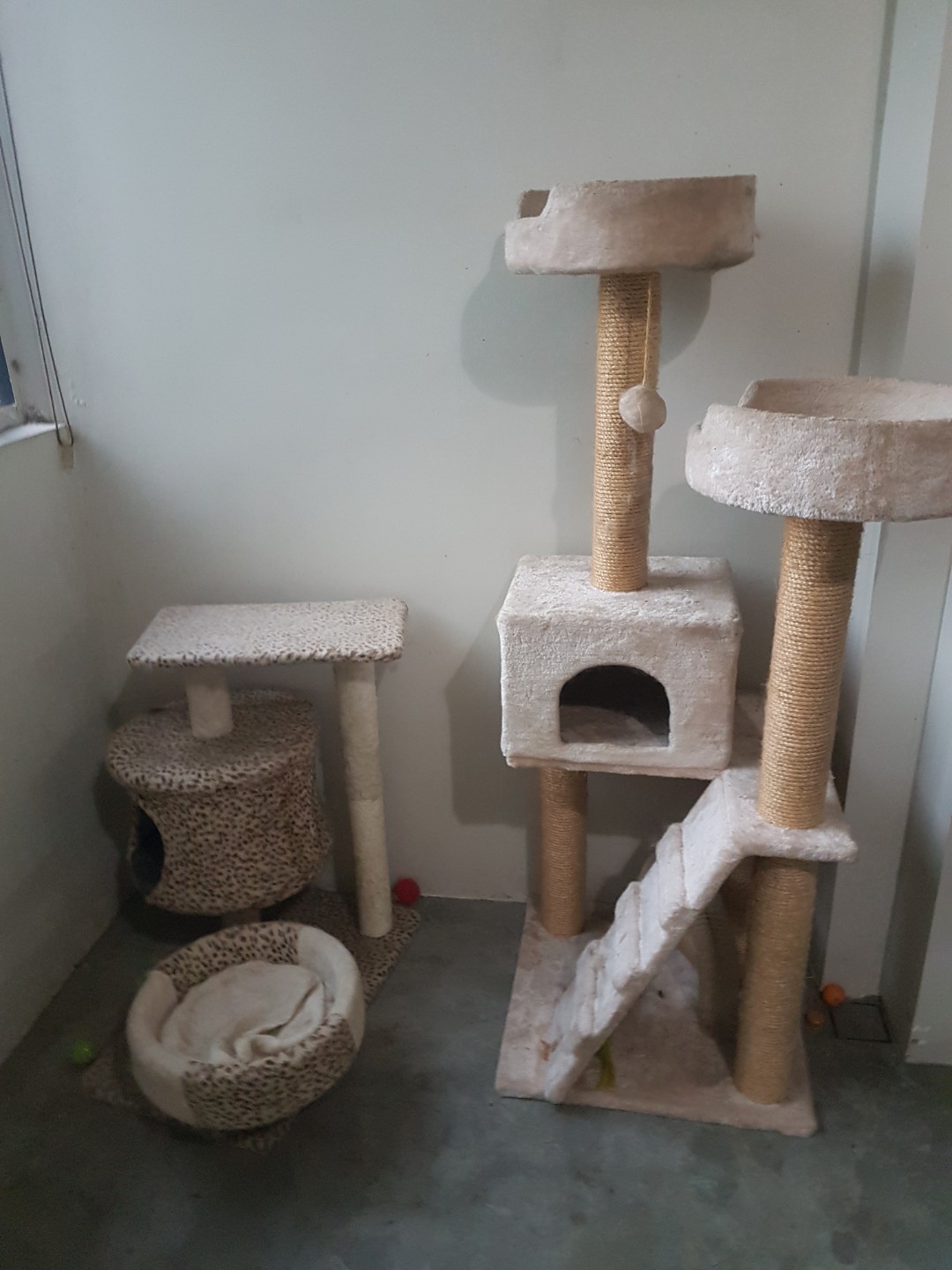 Used Cat Condo And Cat Tree Cheap Pet Supplies On Carousell