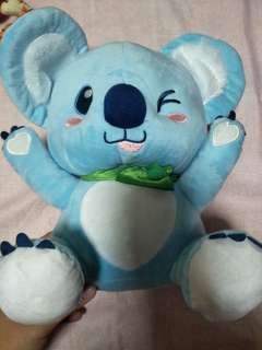 Koala Blue