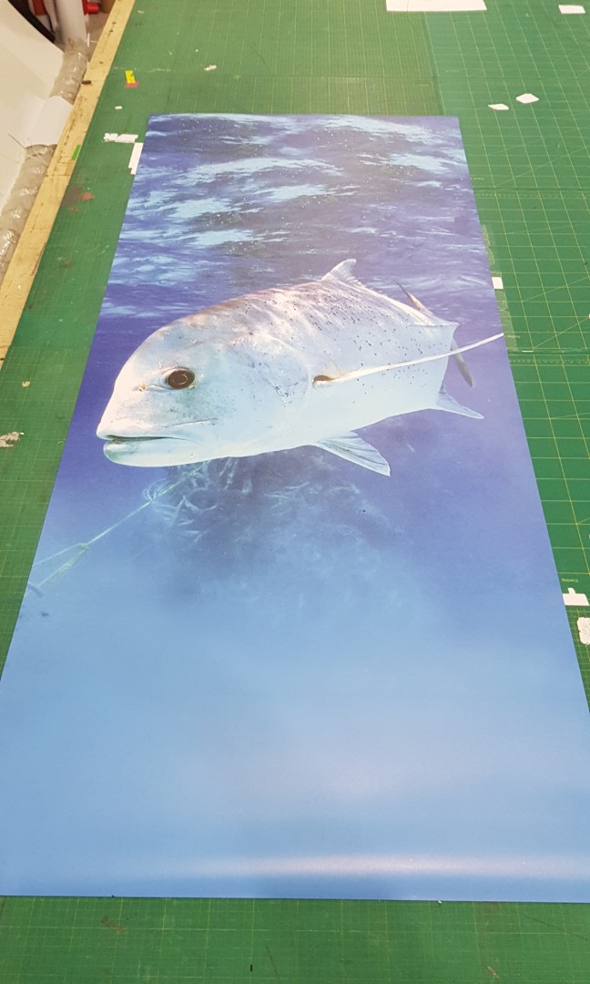 Full Color sheet on Bomb Shelter Door. FOC install., Furniture