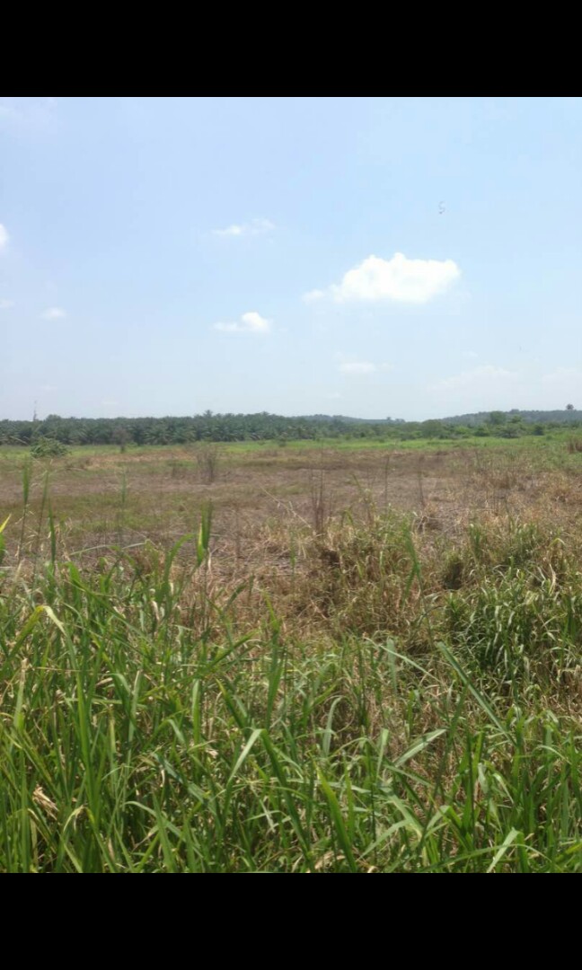 parit sonto parit raja batu pahat, Property, For Sale on Carousell