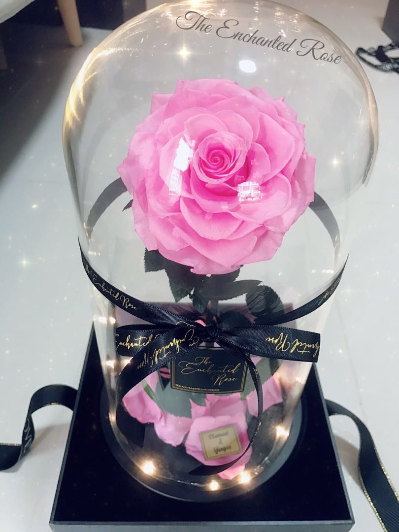 Real Preserved Rose In Glass Dome Beauty The Beast Rose In Glass Jar Valentine S Flower Gardening Flowers Bouquets On Carousell There was once a very rich merchant, who had six children: carousell