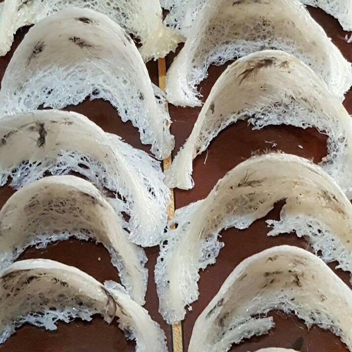 Sarang Burung Walet Kalimantan Everything Else Others On Carousell