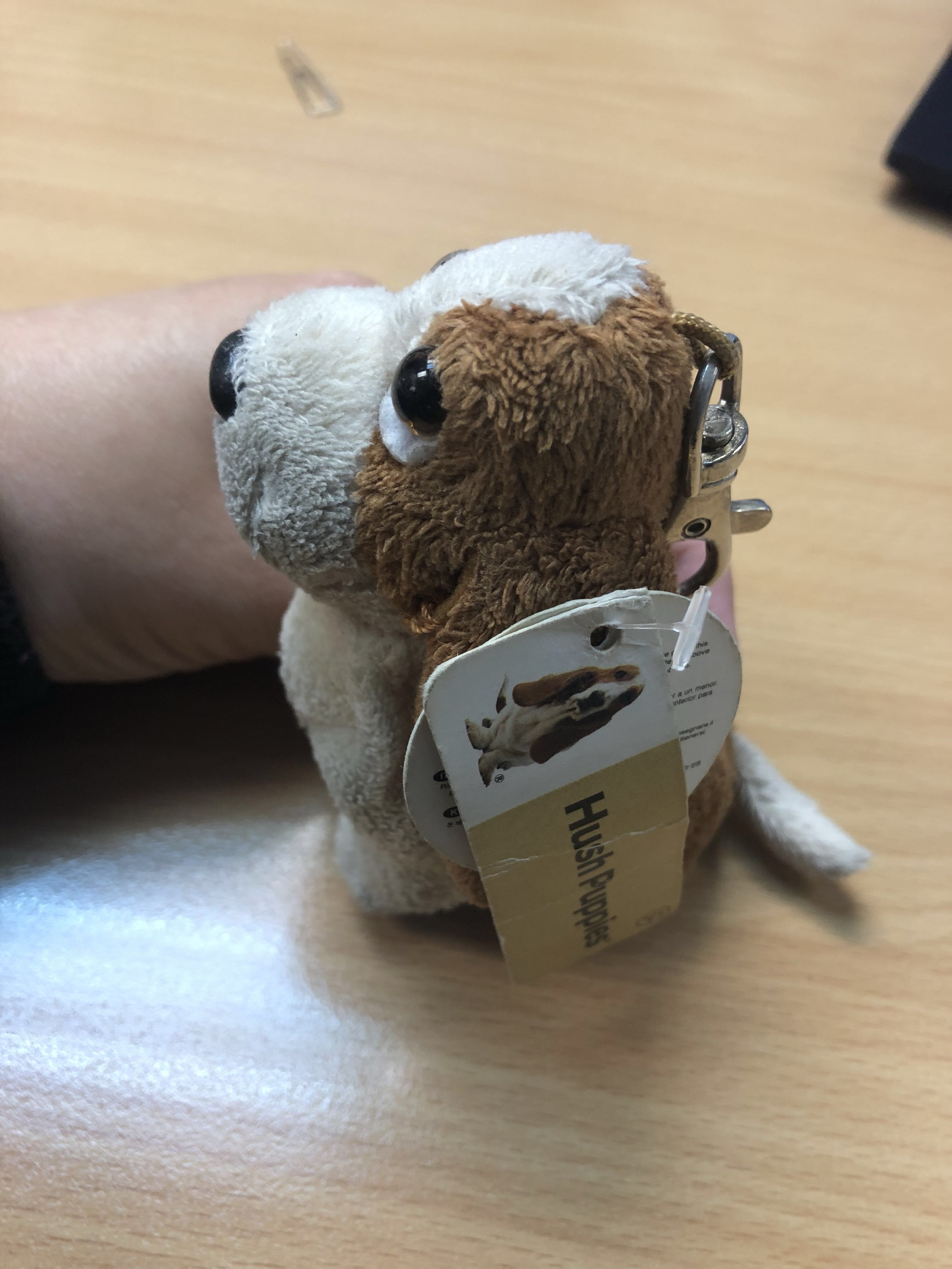 Hush on sale puppies keychain