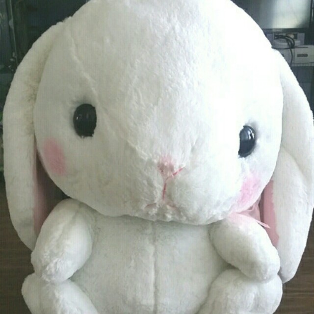 amuse plush bunny