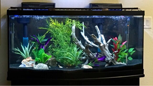 Black aquarium sand for sale sale