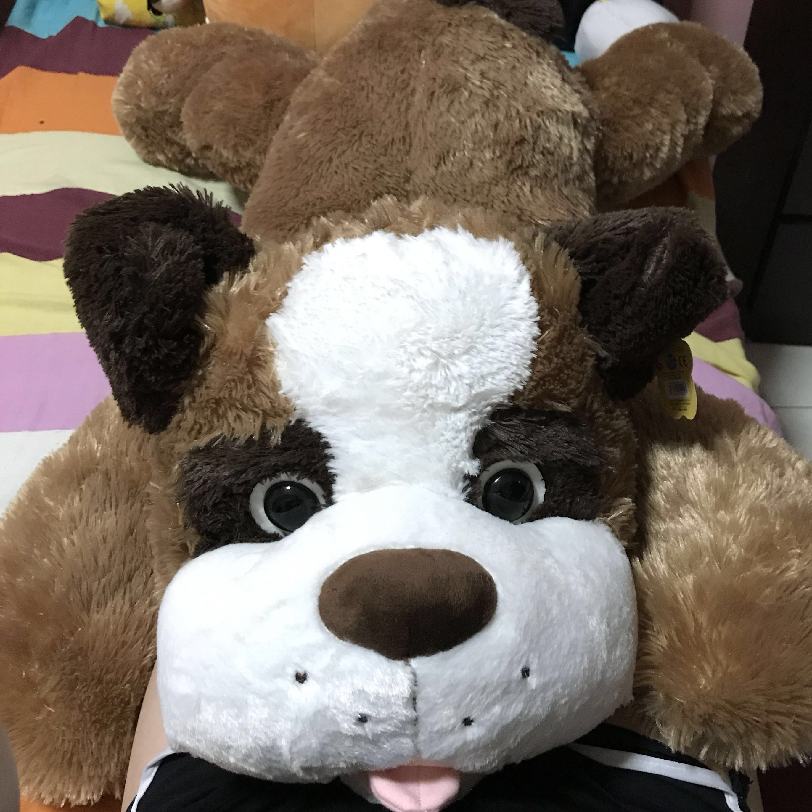 jumbo plush husky