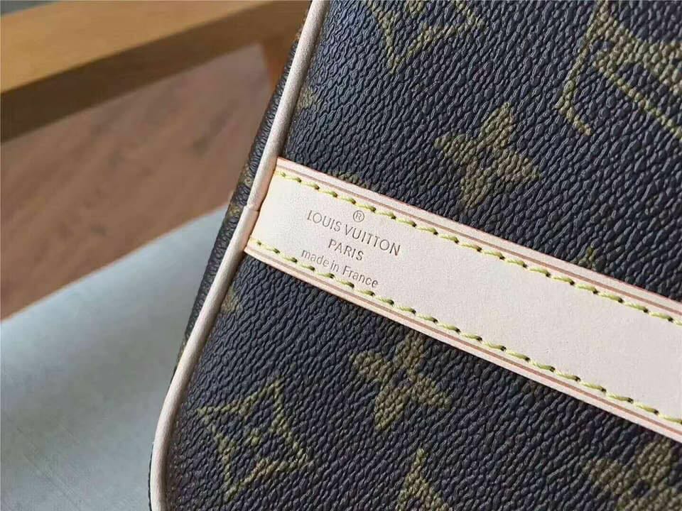 Louis Vuitton speedy bandouliere 30 dog printed monogram canvas bag –  HQEBAG.BLOG