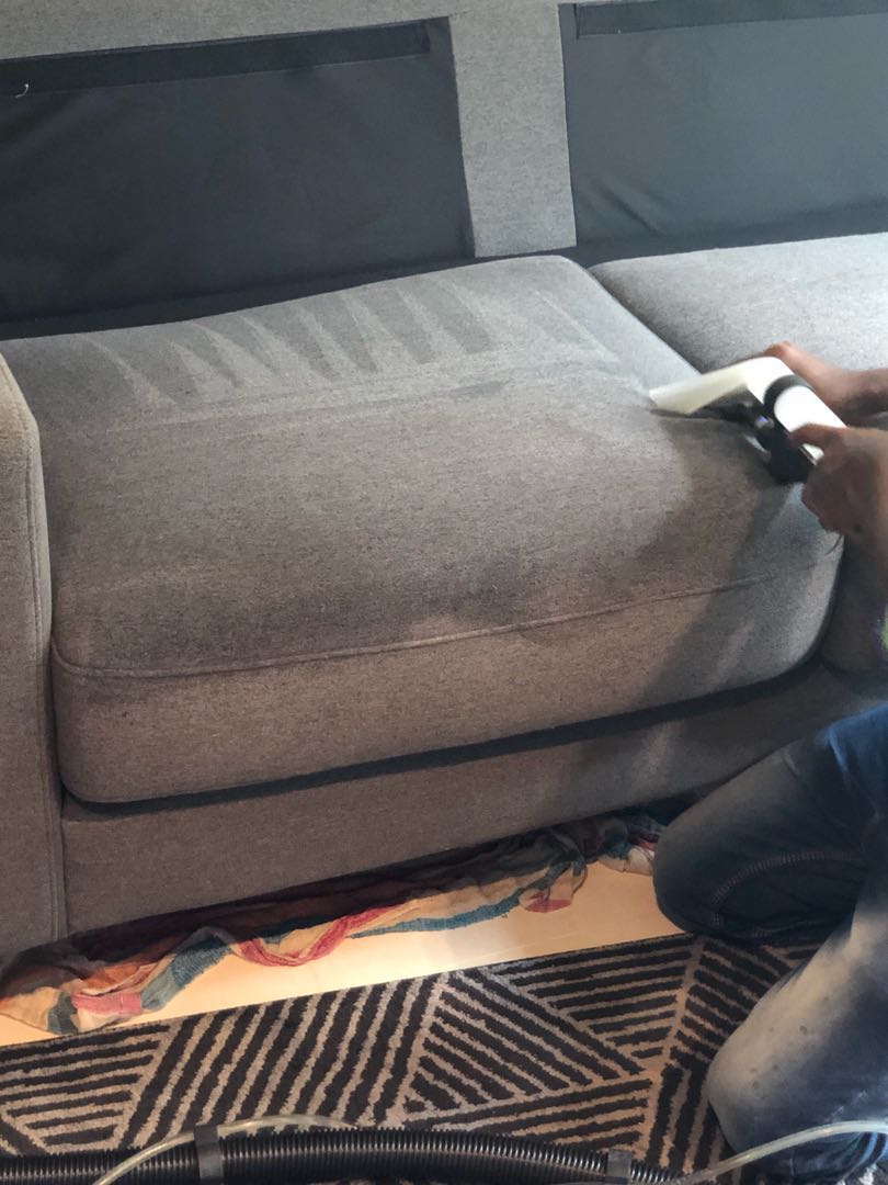 Professional Sofa Cleaning Services By Nea Licensed Company Home