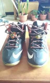 LeBron 11 Elite Size 9