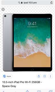 iPad Pro