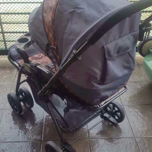Ashworthy stroller new arrivals