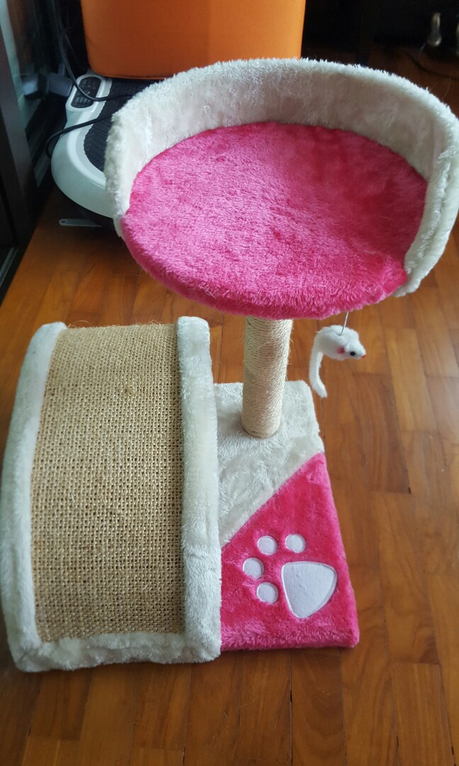 Cat stand, Pet Supplies, Homes & Other Pet Accessories on Carousell