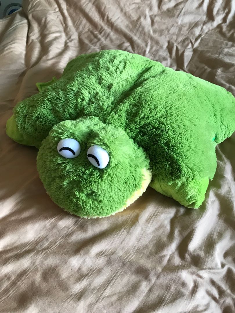 Frog Pillow Pet, Hobbies & Toys, Toys & Games on Carousell