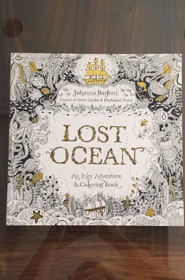 LOST OCEAN - An Inky Adventure & Coloring Book, Hobbies & Toys, Books