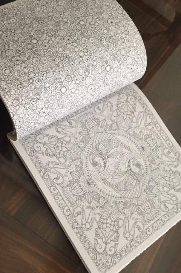 LOST OCEAN - An Inky Adventure & Coloring Book, Hobbies & Toys, Books