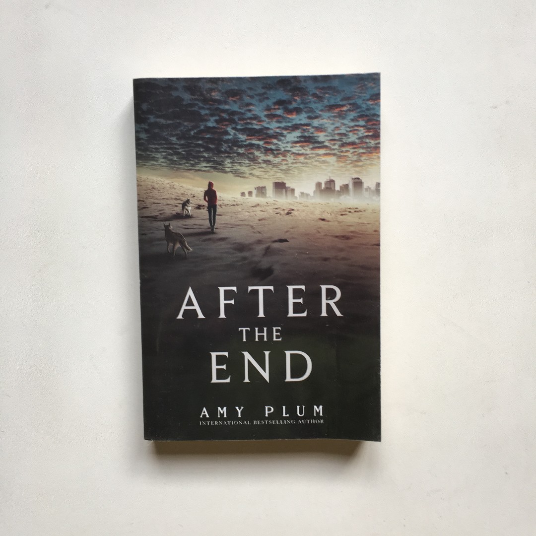 After The End After The End 1 By Amy Plum Books Stationery Books On Carousell