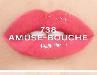 Chanel Rouge Coco Gloss 738 Amuse Bouche