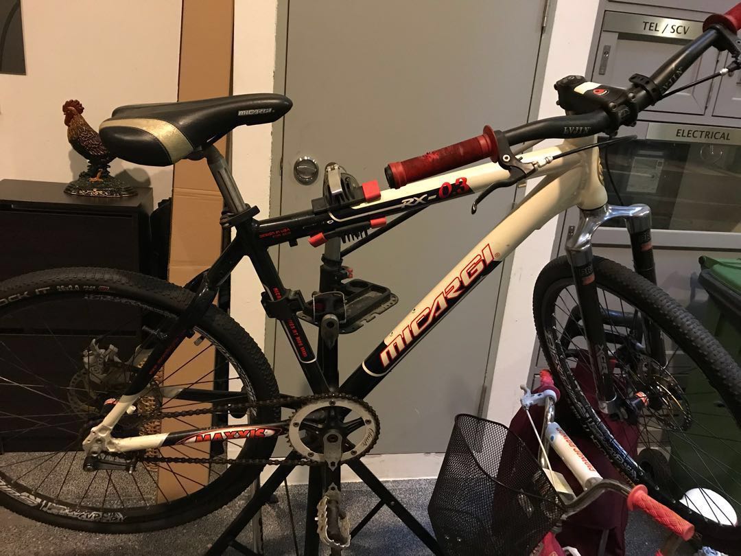 single fork bike