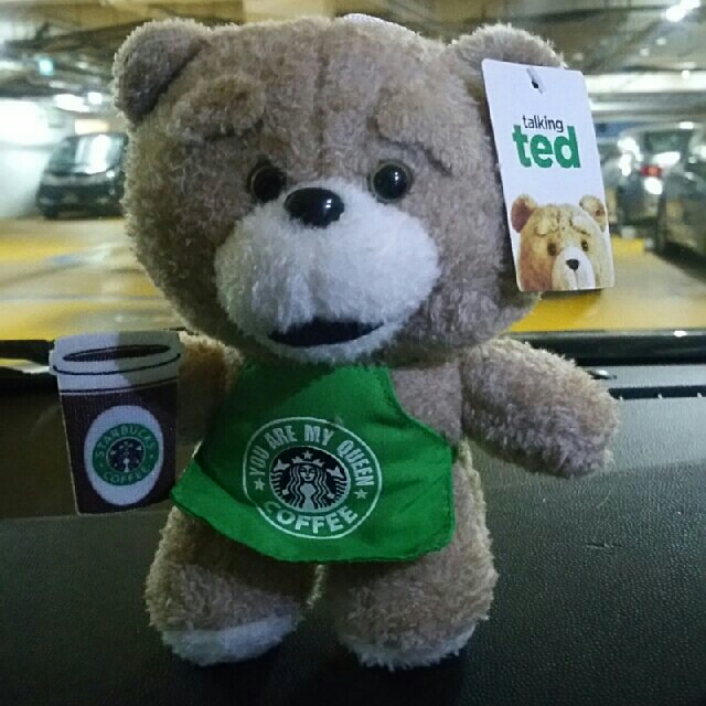 ted bear buy