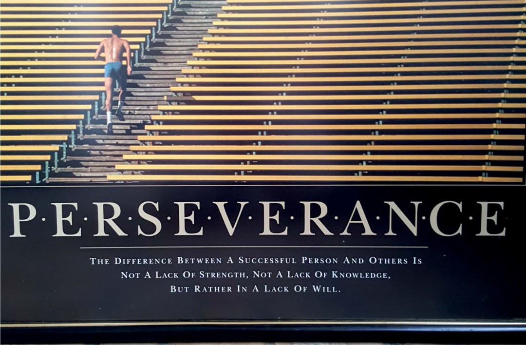 Perseverance Poster Example Motivational Poster - PERSEVERANCE, Everything Else on Carousell