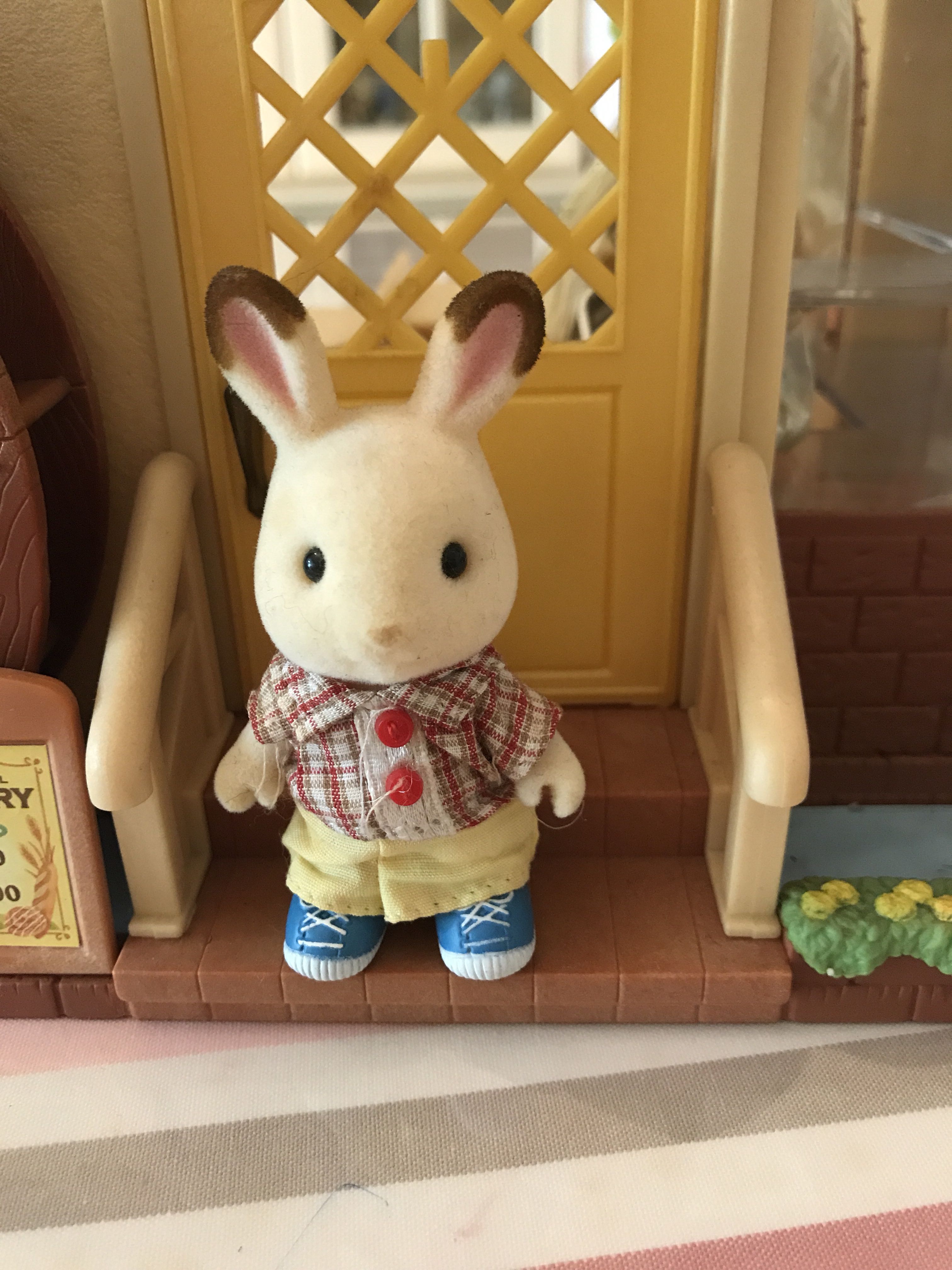 Chocolate rabbit brother outlet set