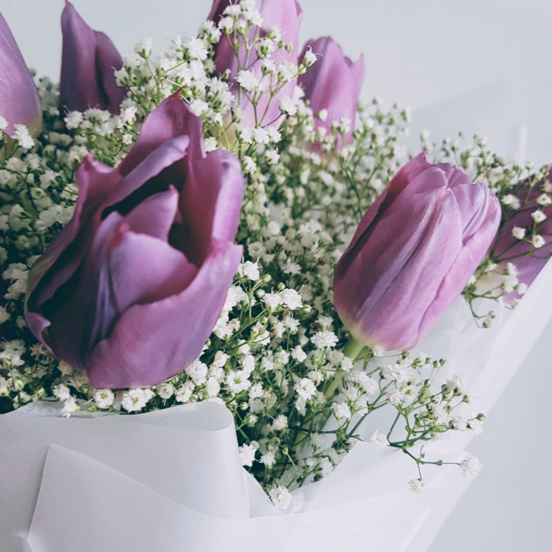 078 Tulip X Baby's Breath, Hobbies & Toys, Stationery & Craft, Flowers