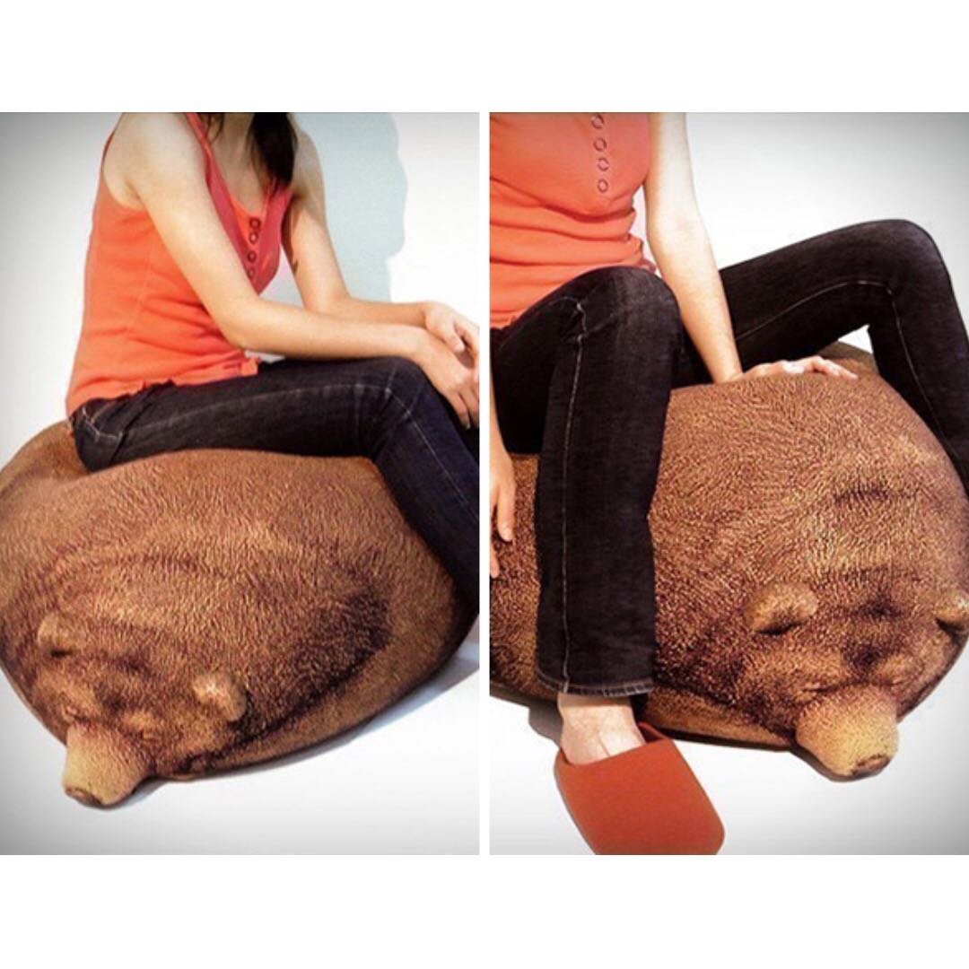 SLEEPING GRIZZLY BEAR BEAN BAG, Babies & Kids, Bathing & Changing
