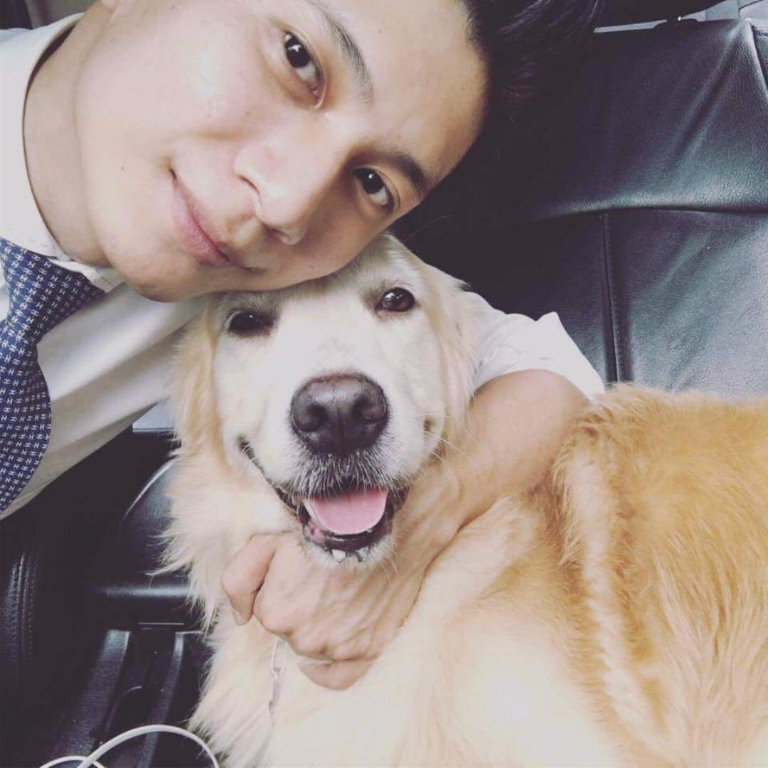 Mobile Pet Grooming Pet Supplies On Carousell