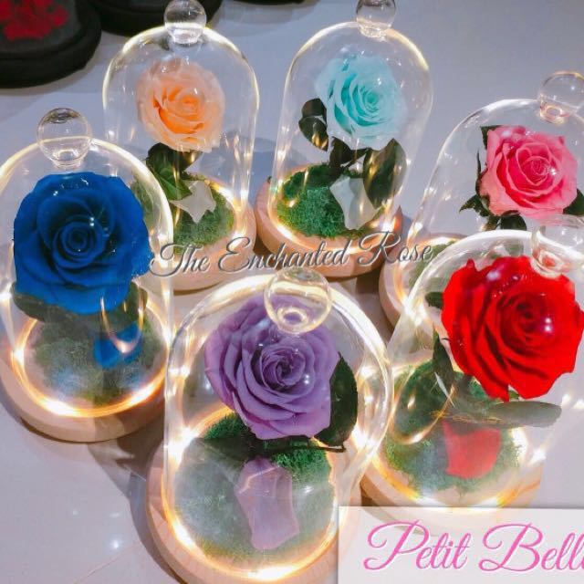 Preserved Rose In Glass Dome With Fairy Lights Lasta Up To 5 Yrs With Minimal Care Enchanted Rose From Beauty The Beast Design Craft Others On Carousell