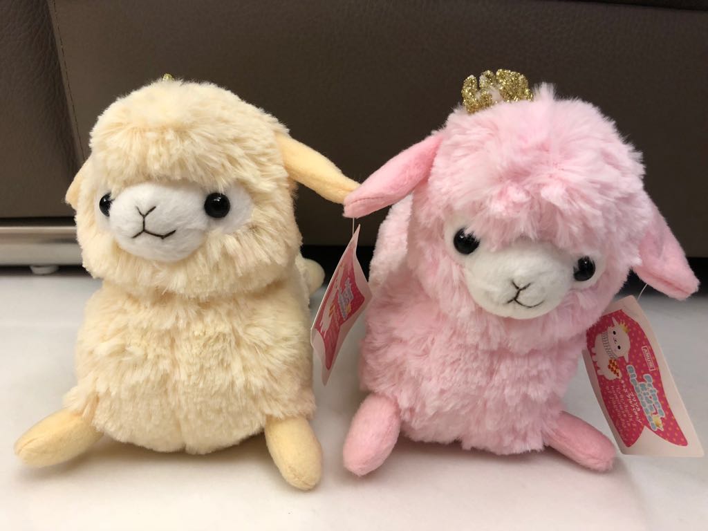 kids alpacasso