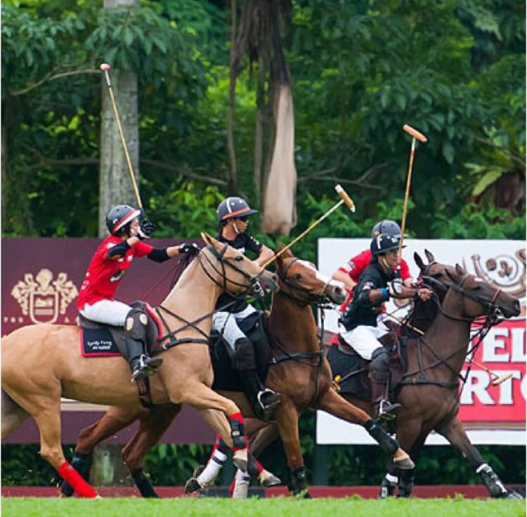 Singapore Polo Club Charter Membership, Everything Else on Carousell