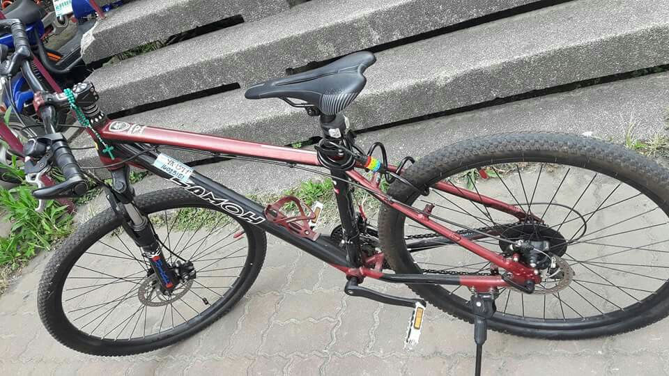 step dragon bike