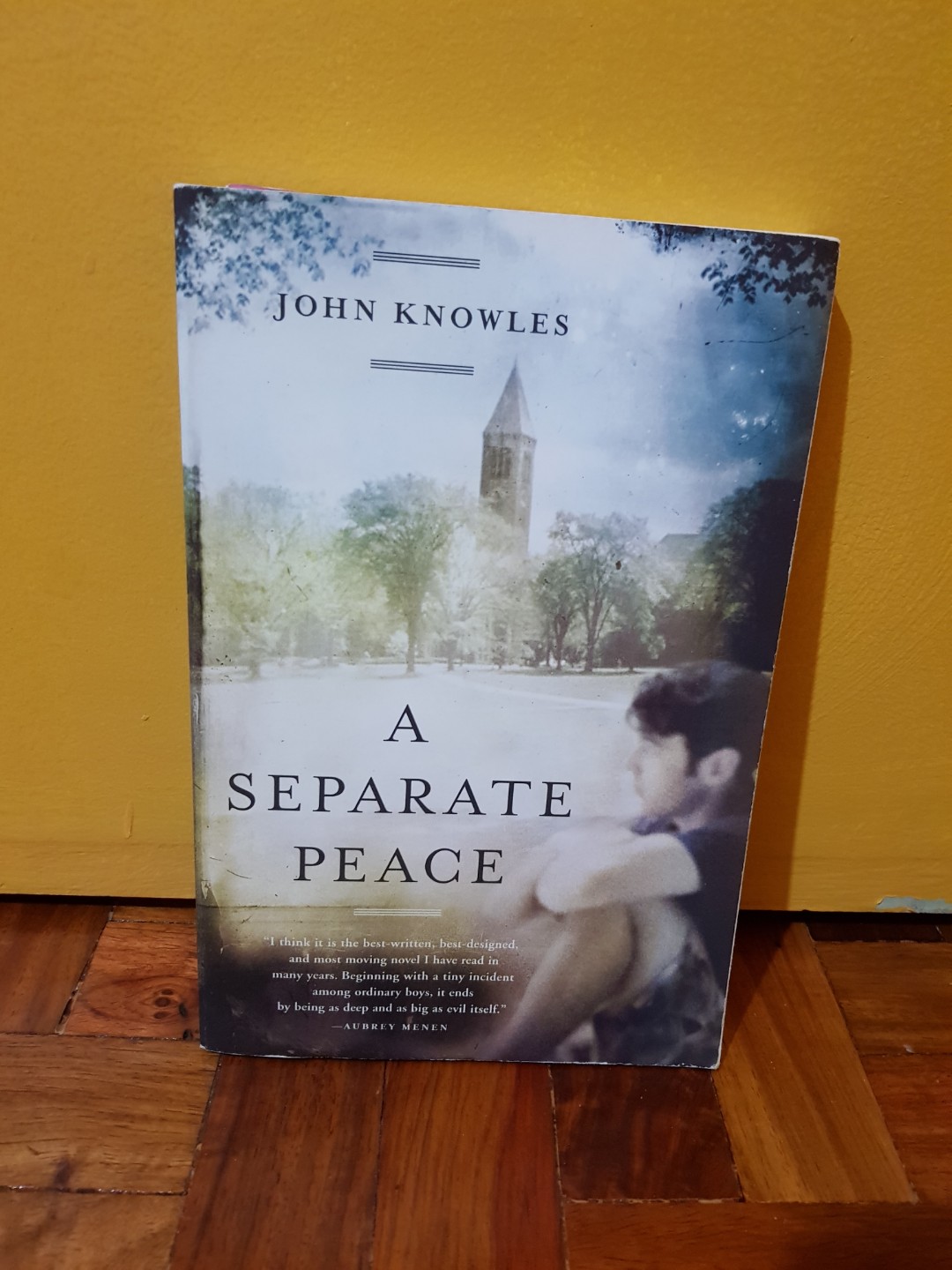 A Separate Peace (Category: Storybooks) located in Quezon City. Submitted by prlyshell (Listing ID 172500712, Image 1). Description: 🚨 will put plastic cover for you 🚨 mind condition.