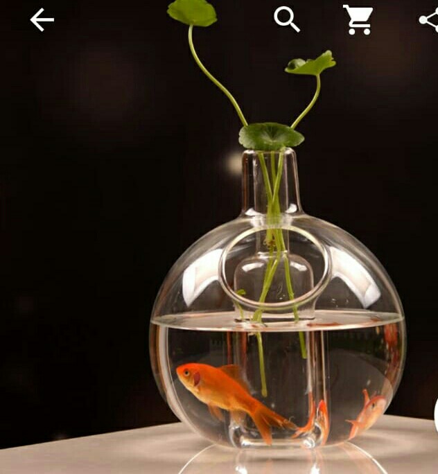 Hydroponic Glass Vase Fish Tank Pet Supplies For Fish Fish