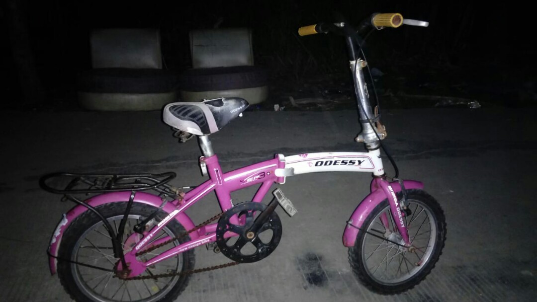 Sepeda Lipat Olah Raga Sepeda Di Carousell