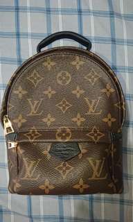 Louis Vuitton Palm Spring Mini