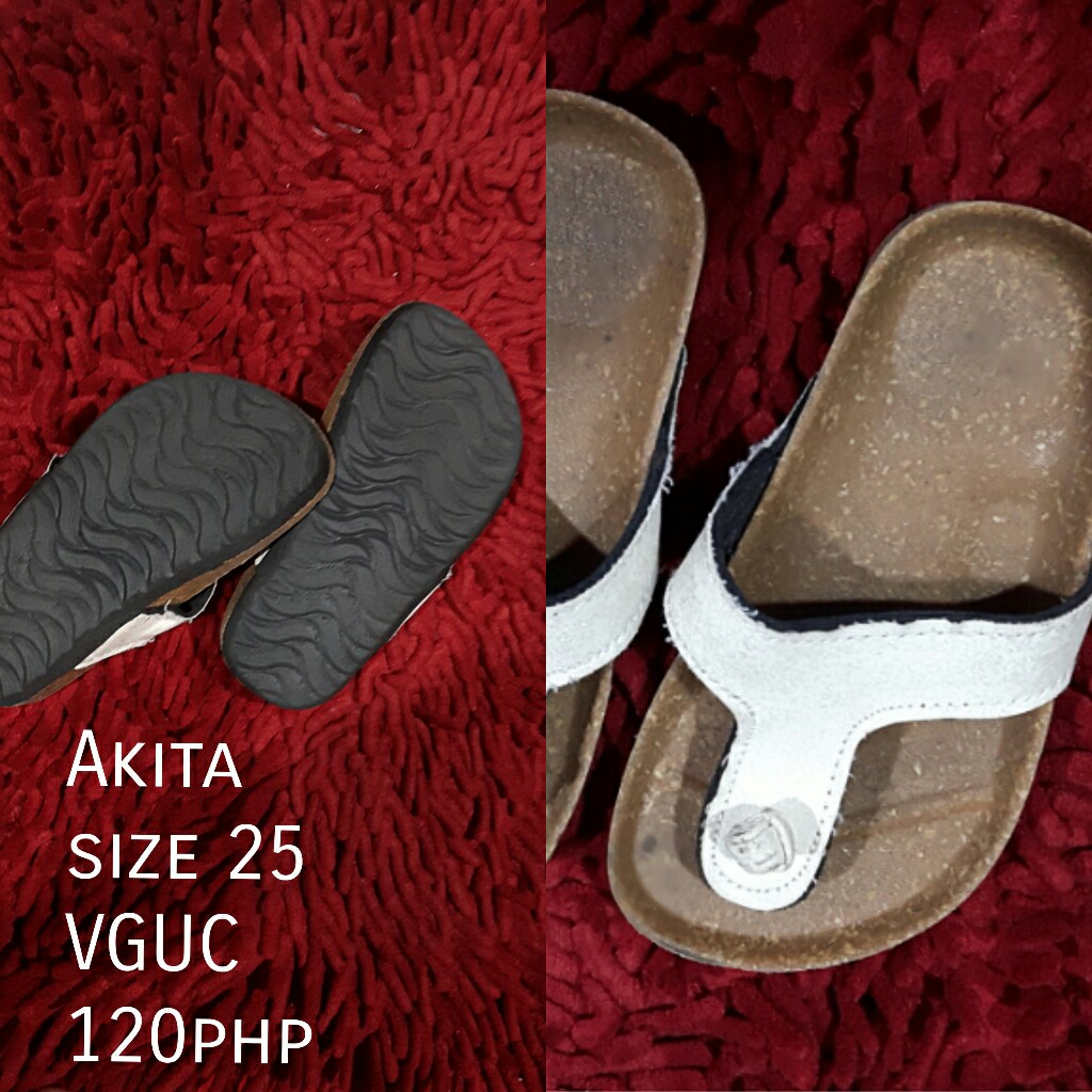 Akita slippers 2025