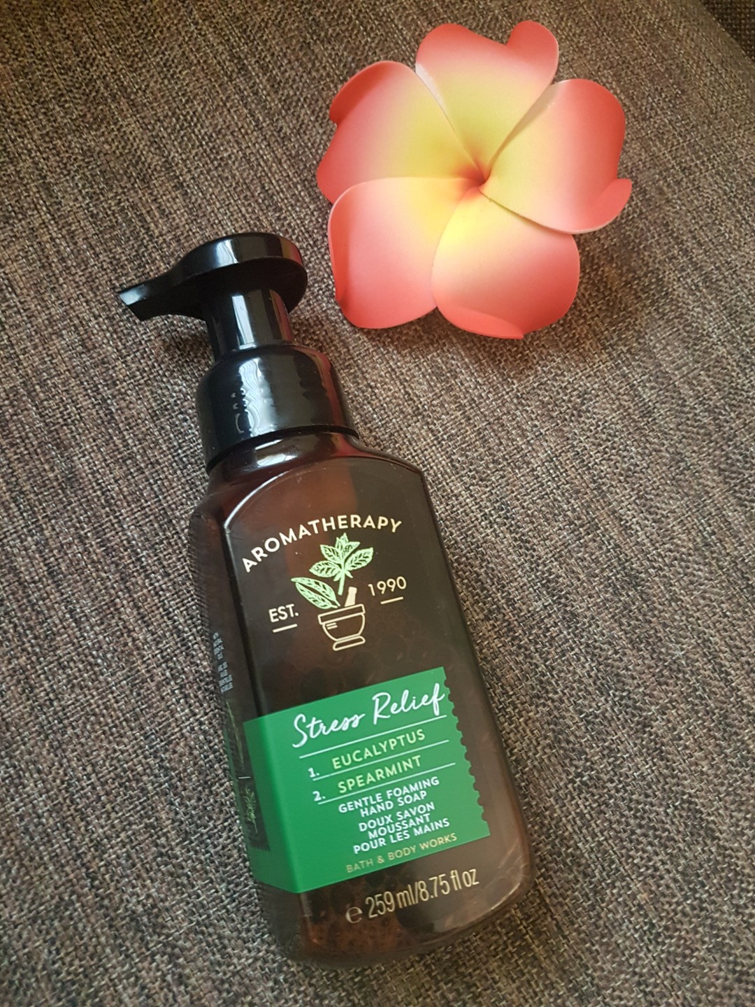 Bath & Body Works Gentle Foaming Hand Soap (Stress Relief), Beauty