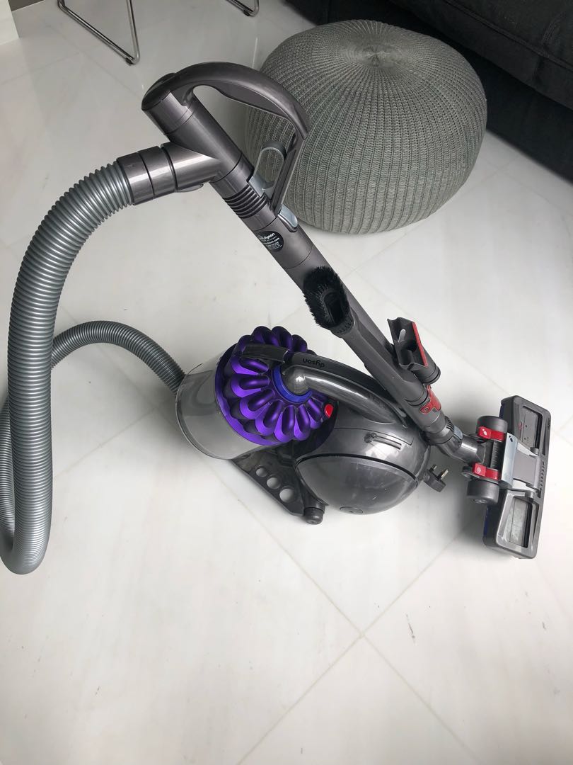 Dyson DC39 Animal canister vacuum cleaner, TV & Home Appliances, Vacuum  Cleaner & Housekeeping on Carousell
