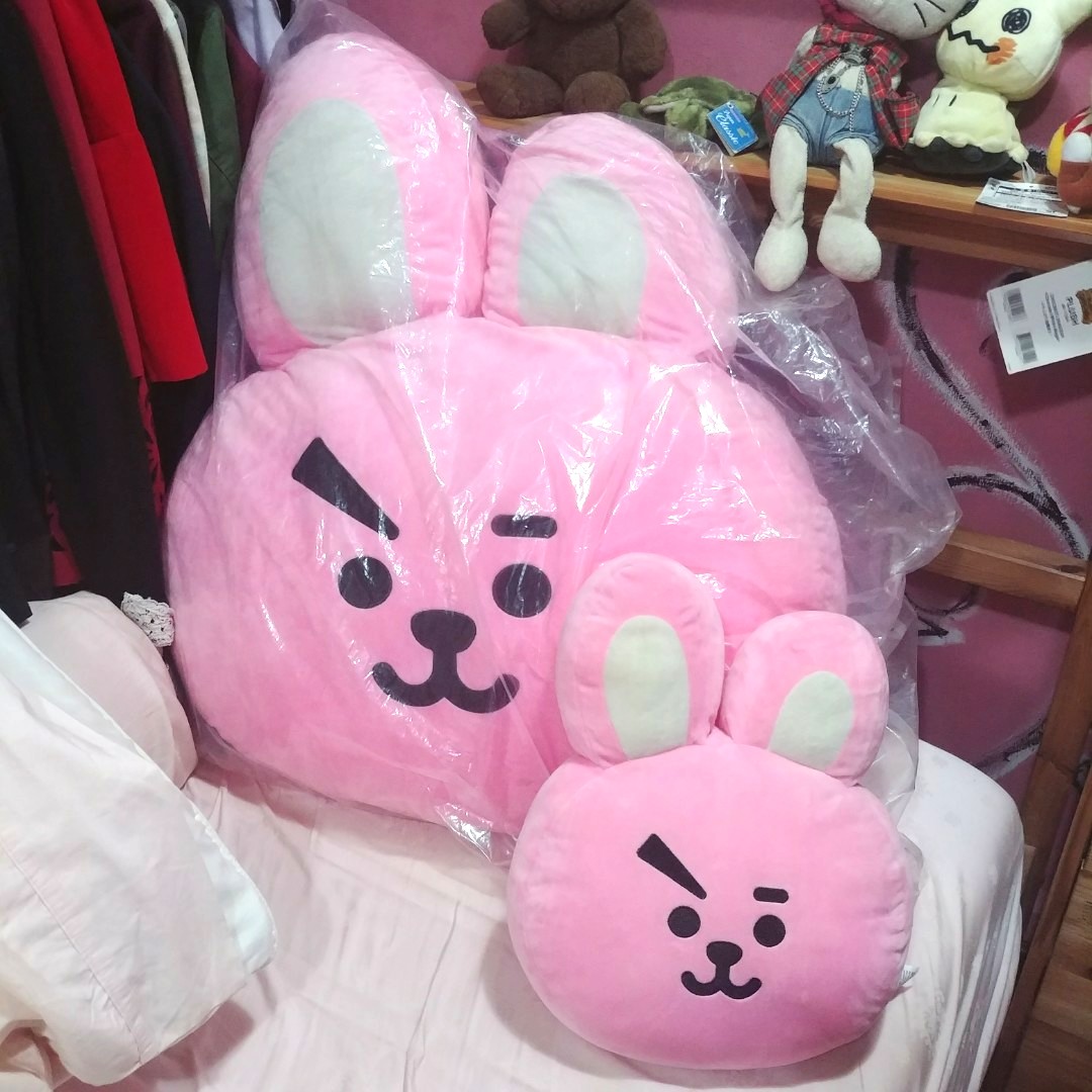 bt21 65cm