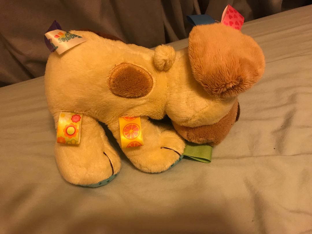 taggie dog