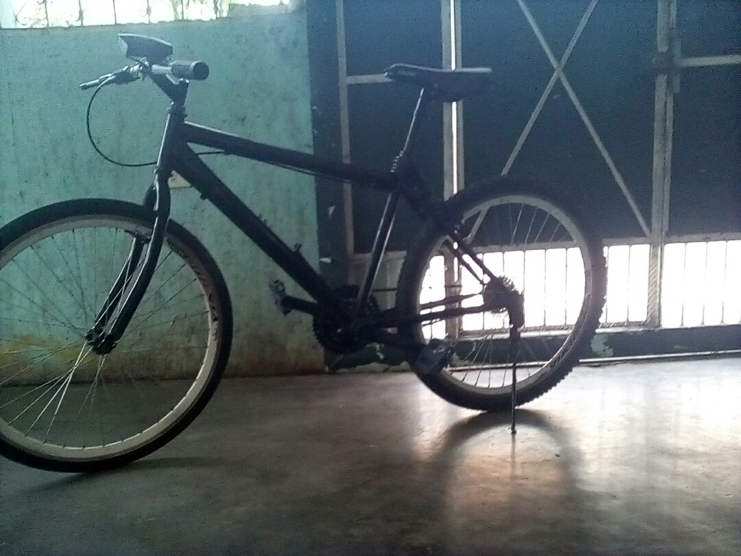 viking pedal bike