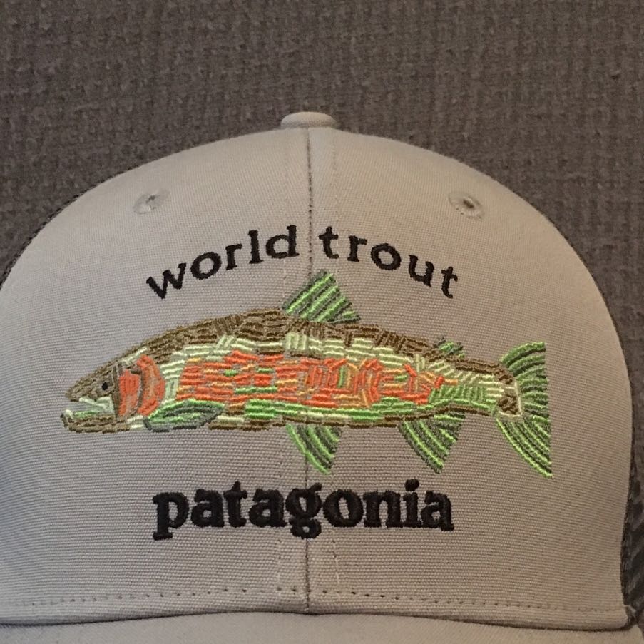 编織鱒魚圖案cap Patagonia 男裝 手錶及配件 棒球帽 帽 Carousell