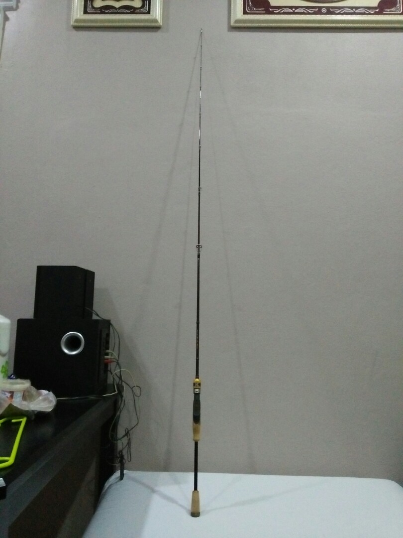 Rod Casting Lemax One Piece, Sports Equipment, Fishing on Carousell