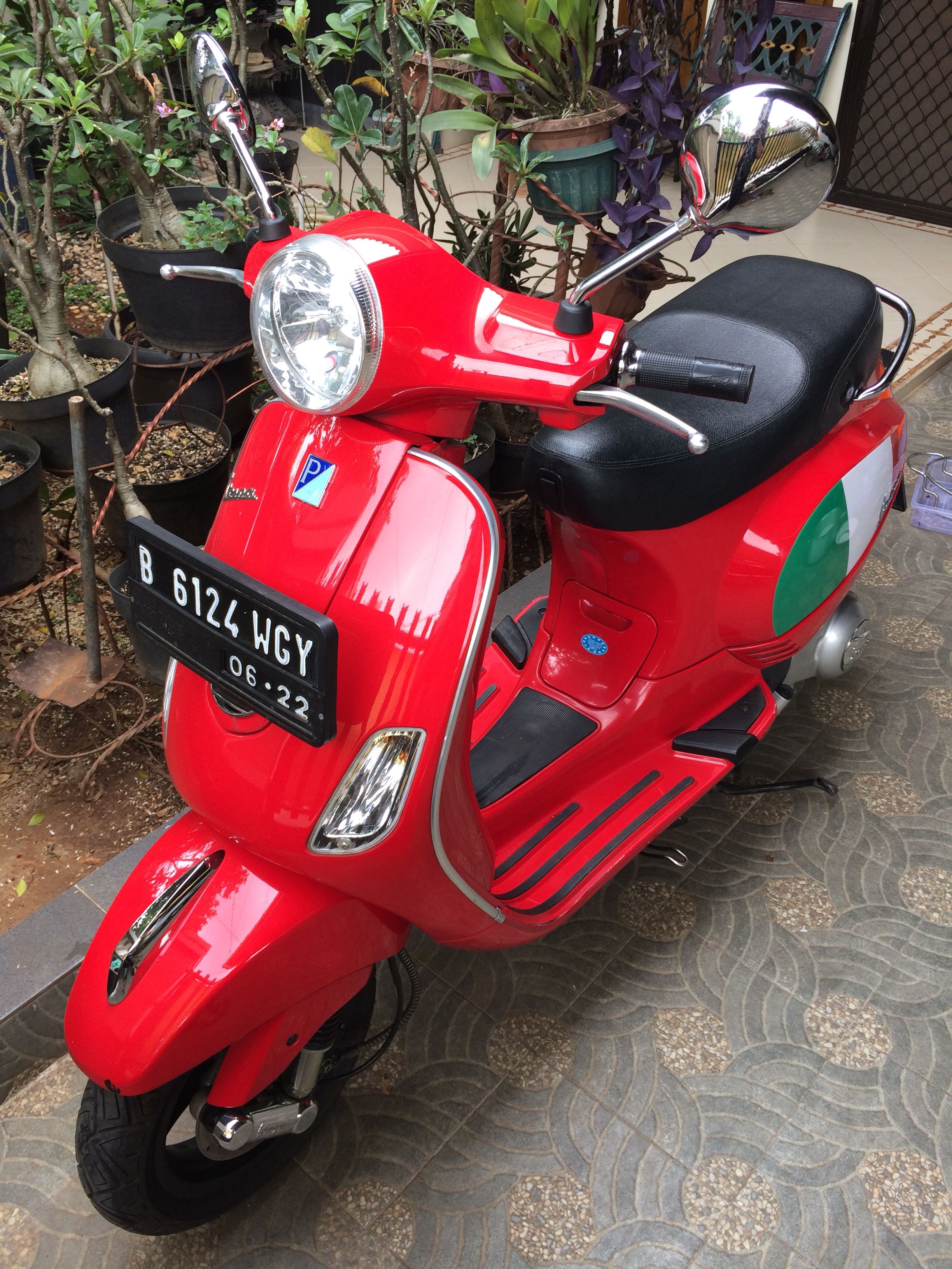 РњРѕР»РґРёРЅРіРё Vespa lx150